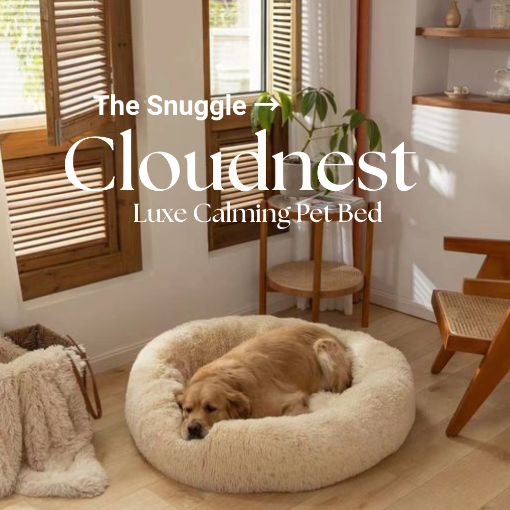 The Snuggle