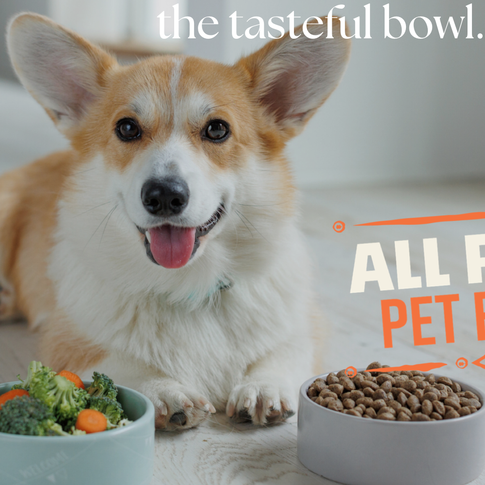 The Tasteful Bowl