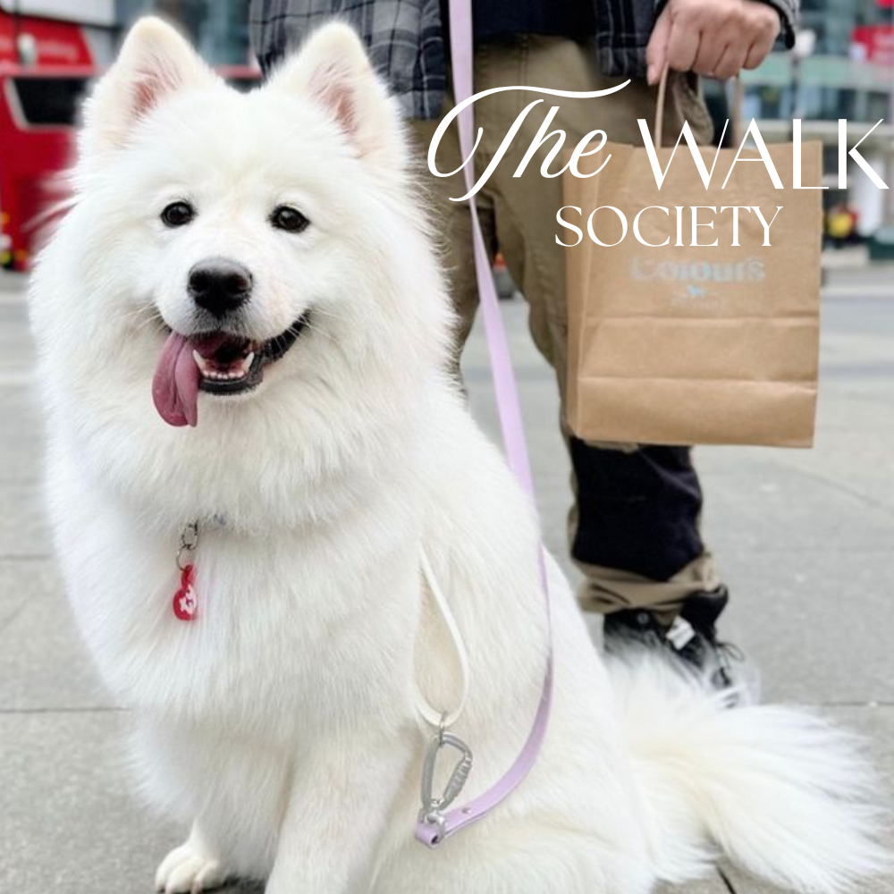 The Walk Society