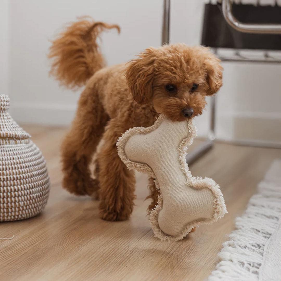 PAWLIQUETM PlushPlay Enrichment Toy Set